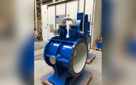 Butterfly valve with integrated by-pass ball valves