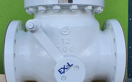 Check Valve 12" class 300# with lever
